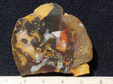 Amazon Basin Valley Jasper 471