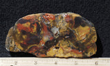 Amazon Basin Valley Jasper 474