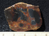 Amazon Basin Valley Jasper 499