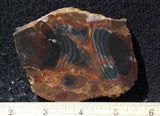 Amazon Basin Valley Jasper 499