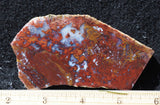 Mexican Moss Agate Rock Slab 281