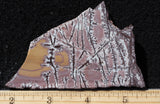 Sonoran Dendritic Rhyolite Rock Slab 463