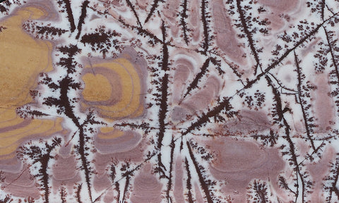 Sonoran Dendritic Rhyolite Rock Slab 463