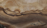 Biggs Jasper Rock Slab 499