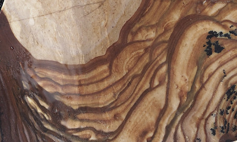 Biggs Jasper Rock Slab 461