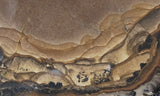 Biggs Jasper Rock Slab 476