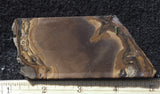 Biggs Jasper Rock Slab 476
