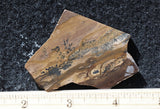 Biggs Jasper Rock Slab 485