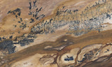 Biggs Jasper Rock Slab 485