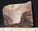 Biggs Jasper Rock Slab 482