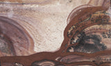 Biggs Jasper Rock Slab 482