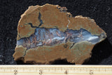 Priday Plume Agate  Rock slab 43