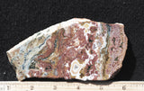 Ocean Jasper Rock slab 67