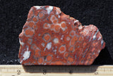 Morgan Hill Poppy Jasper Rock Slab 22