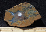 Priday Plume Agate  Rock slab 41