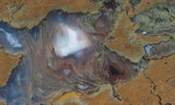 Priday Plume Agate  Rock slab 41