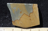 Cripple Creek Jasper Rock Slab 72