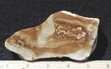 Oregon Picture Jasper Rock Slab 486