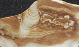 Oregon Picture Jasper Rock Slab 486