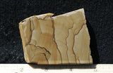 Oregon Picture Jasper Rock Slab 499