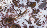 Paisley Agate Slab 392