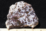 Paisley Agate Slab 392