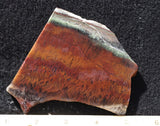 Mexican Flame Agate Rock Slab 43