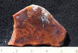 Mexican Flame Agate Rock Slab 45