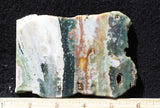 Ocean Jasper Rock slab 65