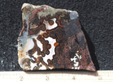 Priday Plume Agate  Rock slab 36