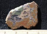 Priday Plume Agate  Rock slab 38