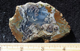 Priday Plume Agate  Rock slab 39