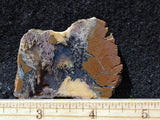 Priday Plume Agate  Rock slab 42