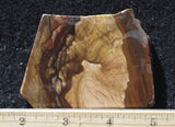 Biggs Jasper Rock Slab 488