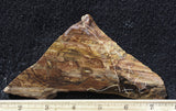 Biggs Jasper Rock Slab 492