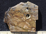 Biggs Jasper Rock Slab 462