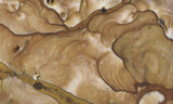 Biggs Jasper Rock Slab 462