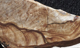 Biggs Jasper Rock Slab 487