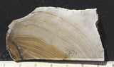 Biggs Jasper Rock Slab 475
