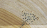 Biggs Jasper Rock Slab 475