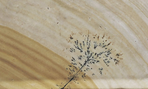Biggs Jasper Rock Slab 475