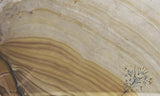 Biggs Jasper Rock Slab 475