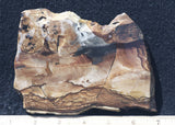 Biggs Jasper Rock Slab 459