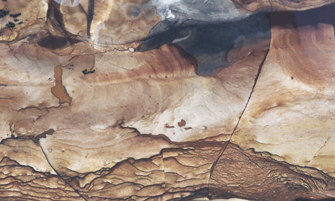 Biggs Jasper Rock Slab 459