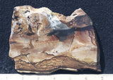 Biggs Jasper Rock Slab 459