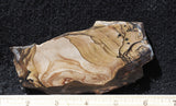 Biggs Jasper Rock Slab 467