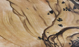 Biggs Jasper Rock Slab 467
