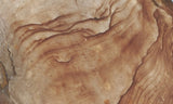 Biggs Jasper Rock Slab 481