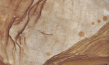 Biggs Jasper Rock Slab 481