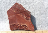 Apache Canyon Rock Slab 276